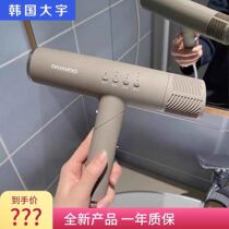 DAEWOO Hair Dryer Negative Ion Hair Dryer Home Hair Dryer Hair Dryer Quick Dry Folding Portable Constant Temperature HD01