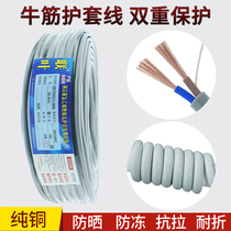 National standard cable line pure copper 2-Core 3-Core 4-core waterproof and antifreeze wire 1 1 5 2 5 square power jacket cable