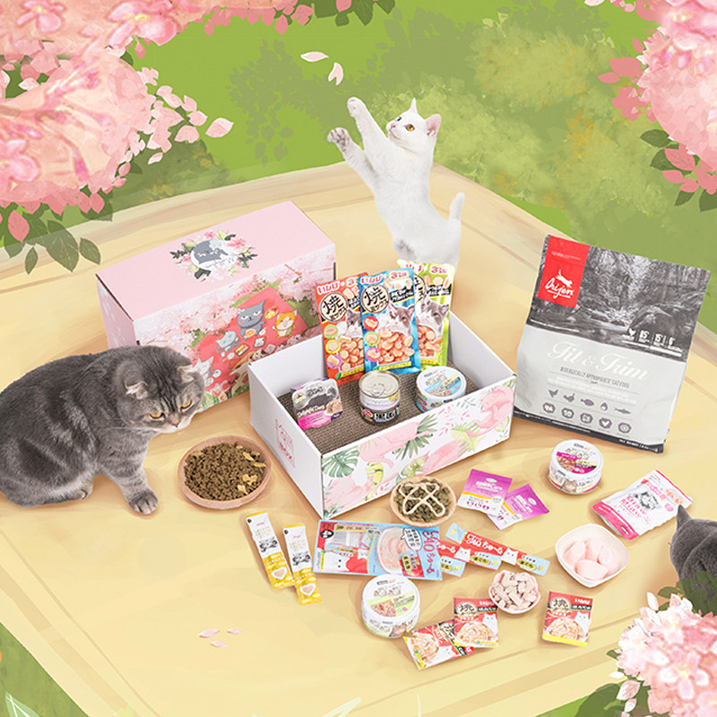 mollybbox魔力猫盒体验魔力成幼猫罐头零食猫咪猫盒(无主粮)