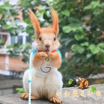 Devil snow yellow mountain squirrel clothes pure cotton t-shirt mink special body pattern color can be customized for two pieces