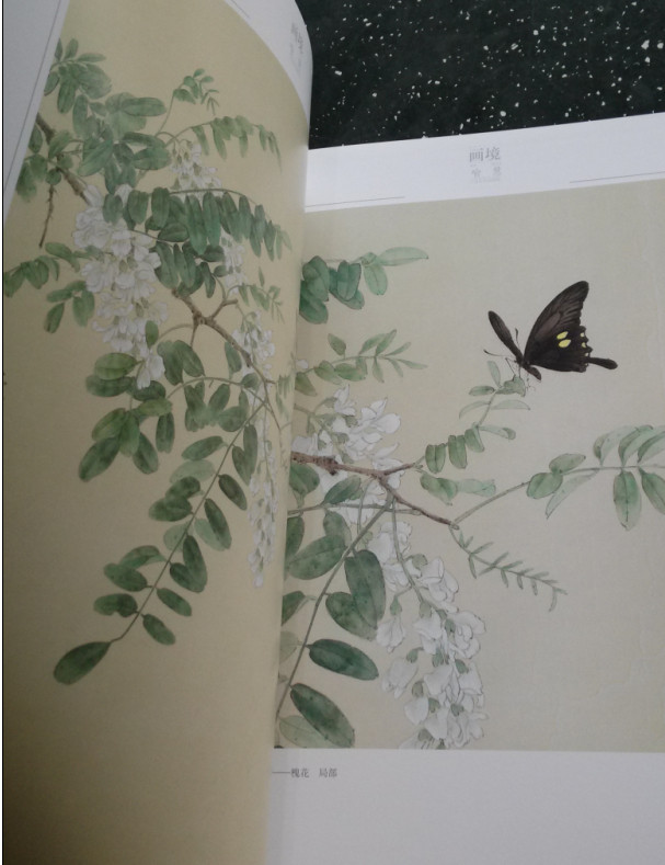 正版《画境——喻慧工笔花鸟画探微》新书畅销书籍 美术教材 巅峰杰作