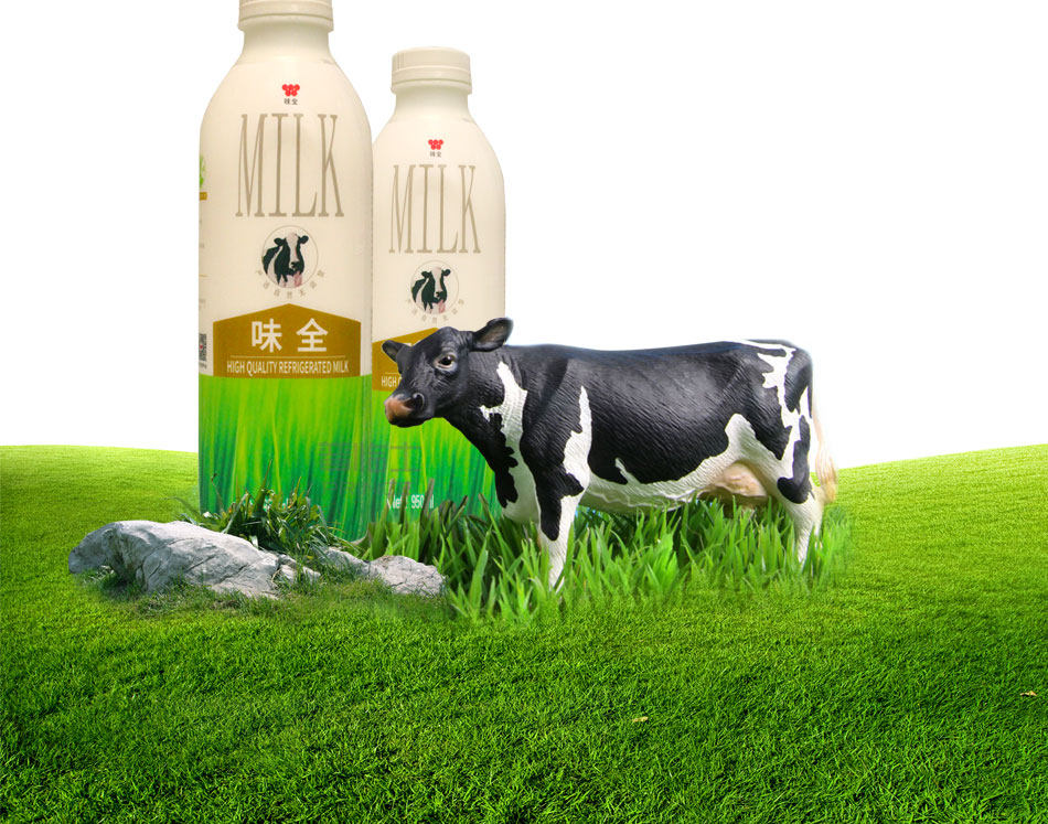 味全冷藏鲜牛乳950ml*12瓶 牛奶鹿角巷脏脏茶波波茶奶茶顺丰包邮