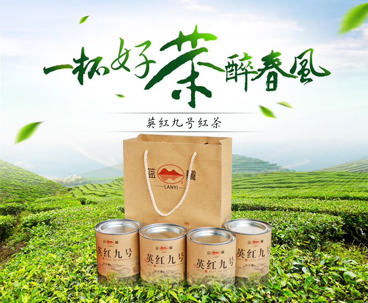 英德红茶 英红九号500g罐装礼盒装 红茶九号广东清远特产散装茶叶_3折