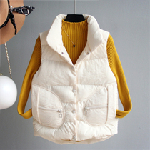 2021 autumn and winter new Korean short stand-up collar cotton vest zipper thickened large size cotton vest horse padded jacket jacket