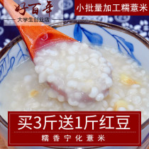 Fujian Barley Sanming Ninghua Barley Glutinous Barley 500g Small Barley Glutinous Barley Hakka whole grain Yi Ren whole grain