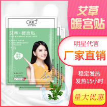 New Rainbow large wormwood grass warm Palace paste warm baby hair hot Post warm paste factory direct sales