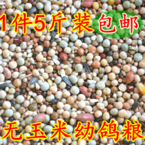 Special A- grade pigeon grain no corn pigeon feed bird food pigeon ornamental pigeon meat pigeon grain 5kg