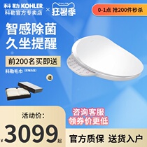 (Red Dot Design Award)Kohler intelligent toilet cover plate Automatic function body cleaner intelligent cover plate 31332T