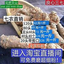 Yunnan Wenshan Spring 37 No cut mouth 20 Head 30 30 40 40 60 60 80 80 Head 120 Milled Powder 7 500 gr