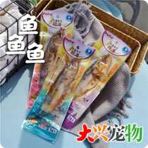 Japanese Petio Paito fresh crisp bone steamed whole fish cat snack mackerel sardines 1 tail