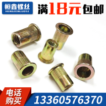 Flat head pull rivet nut rivet nut nut pull nail female fine tooth riveting nut M3M4M5M6M8M10 * 1 0M12 pull cap