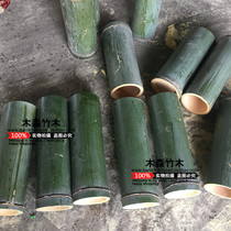 Wild Bamboo Bamboo Bamboo tube natural bamboo products bamboo tube rice cricket can grasshopper insect pot bamboo pot
