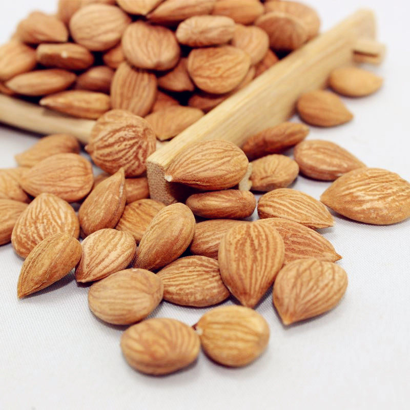 优质北杏500g原味带皮生苦杏仁天然杏核搭配南杏煲汤