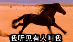 出内伤,原来名字没取好就闹出这么多笑话.