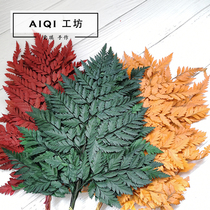 Alpine fern leaves dried flowers natural dried flower wax sheet material handmade diy aromatherapy decorative dried flower soybean wax