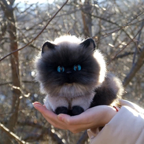 (customized abroad) movable key color kitten Russian artist doll ooak bjd companion