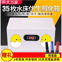 ) Family Hatching Boxes Small Chicken Incubators Small Birds Hatching Box Cockpit Cockpit Rooster Small Duck Pigeon Hatching