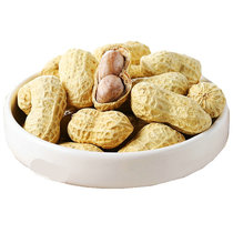 Walnut Taste Pearl Peanut Original Taste Peanuts 500g Small packaging Jiangxi Nanchang Fried Goods Snack year stock