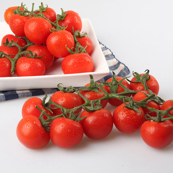 新鲜番茄 串串番茄 小柿子蔬菜 水果小番茄 西红柿500g