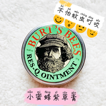 Burts Bees gromwell paste in the body of a