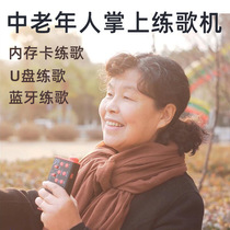 Middle-aged and elderly people use K-song microphone singing hand-held Song practitioner wireless small audio card speaker player