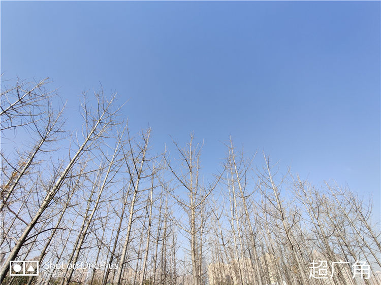 特立独行娱乐手机 ,一加7T游戏机体验201