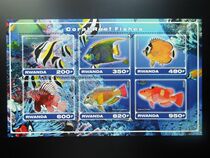Very exquisite foreign stamps 2017 Rwanda Underwater World Ornamental Fish Stamps 183