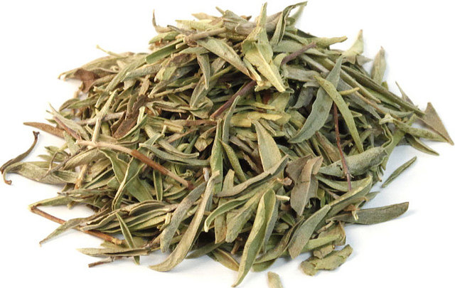 意大利夏香薄荷欧洲香草种子祛痘减肥增强记忆力天然杀菌