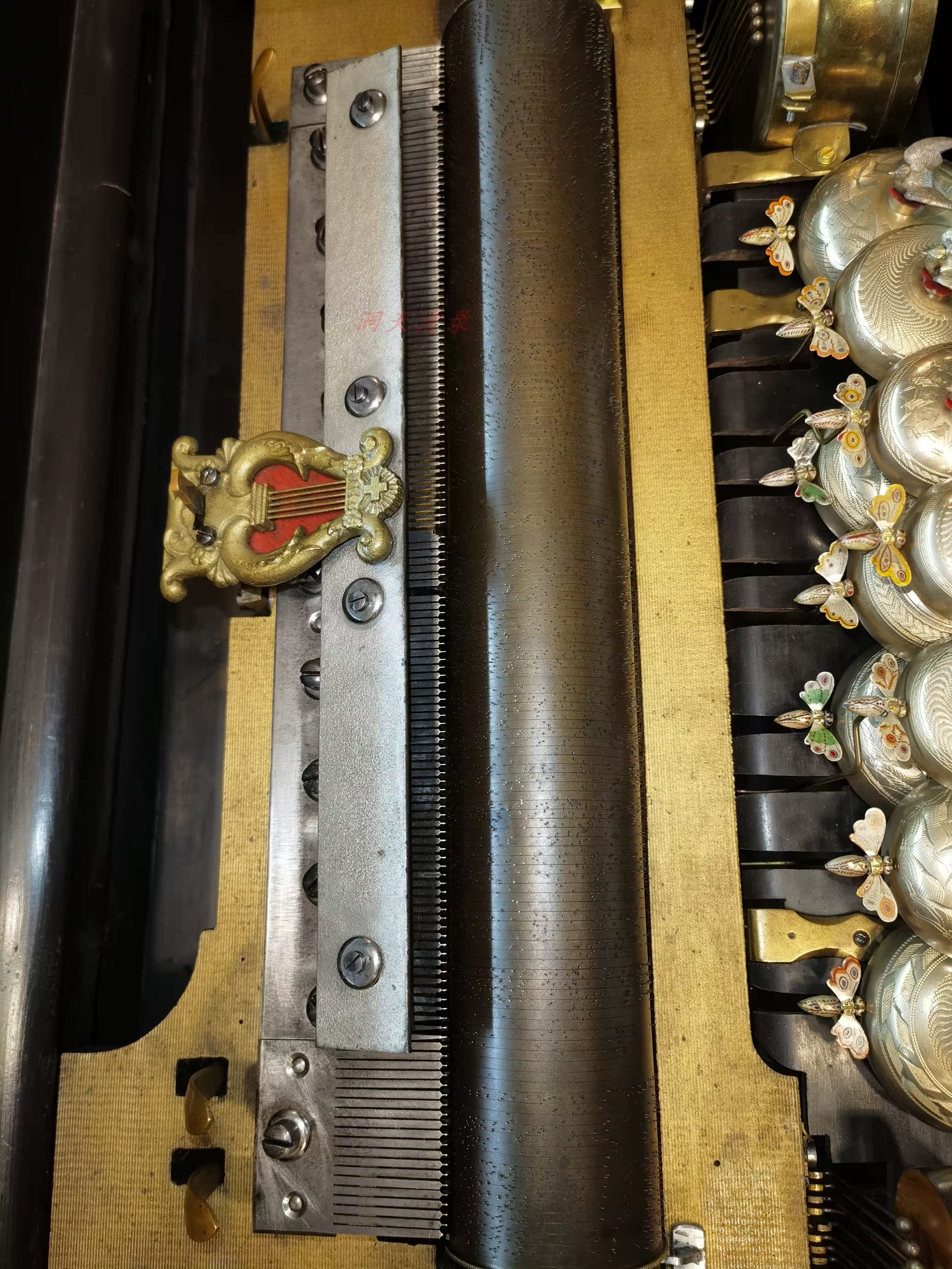 IMG_20220628_201039_DEX_D.