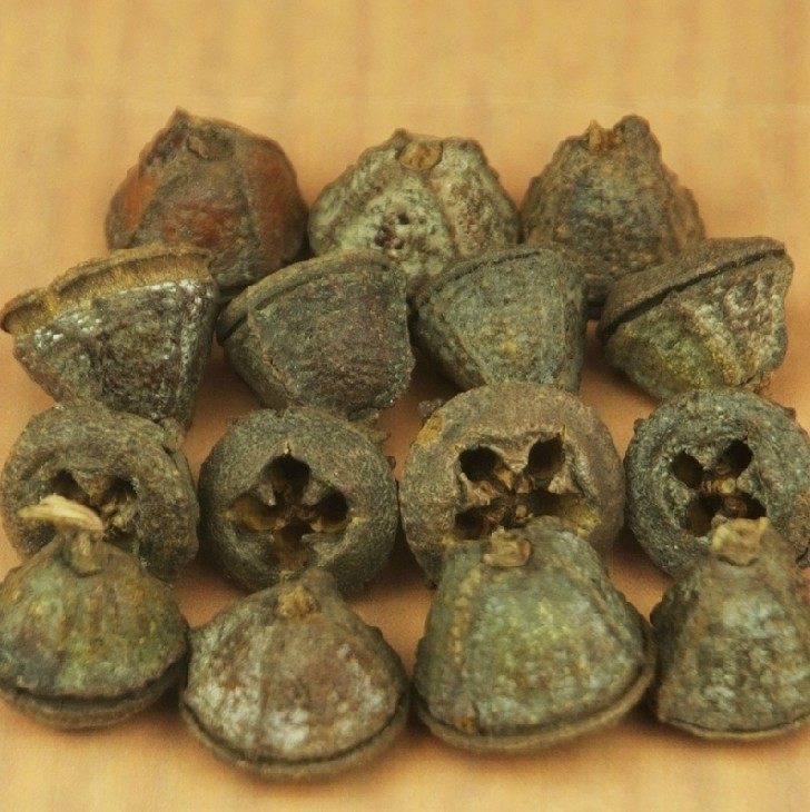 新货 一口钟 50克 正品一口钟功效香料调料 中草药一口中 一口盅