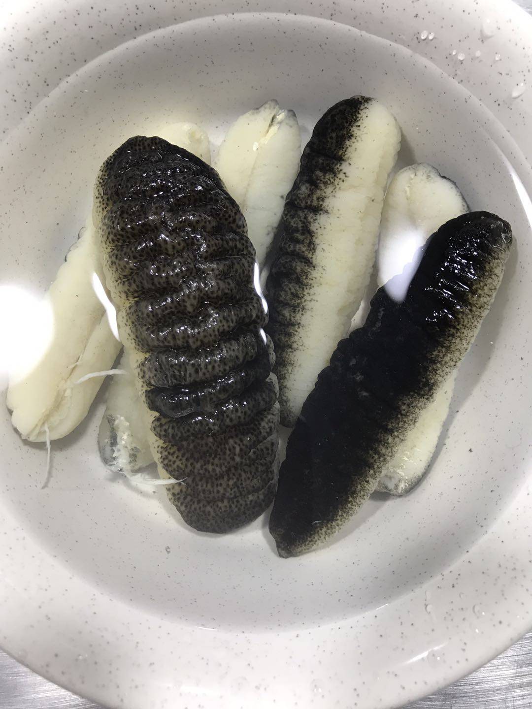 马来西亚沙巴野生海参250克