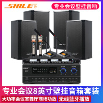 Lion Music conference room audio set Home KTV amplifier sound box Conference training dance studio wall-mounted speaker AV108
