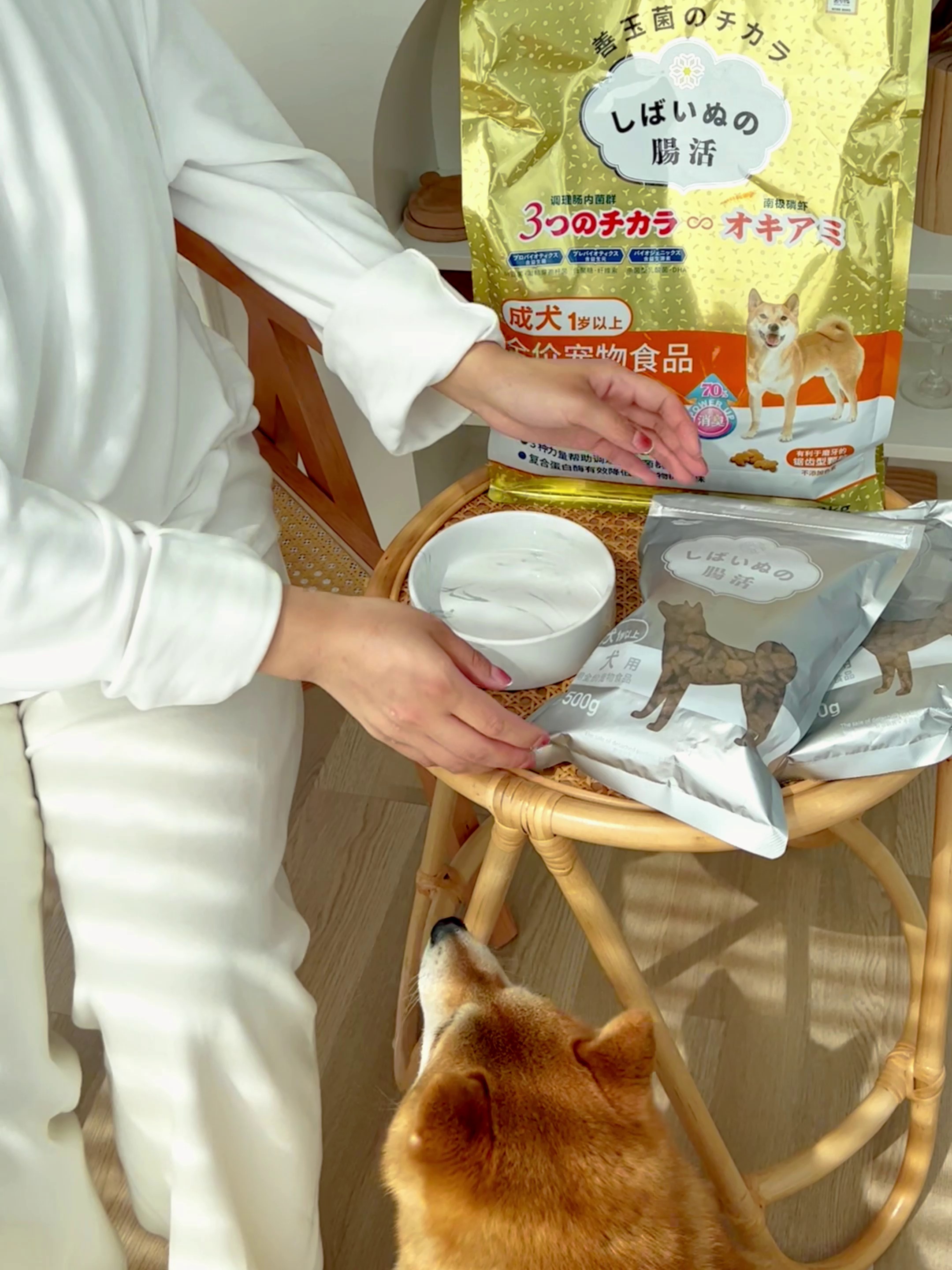 狗狗肠胃脆弱如甚么所以办？善玉多柴犬狗粮来帮忙