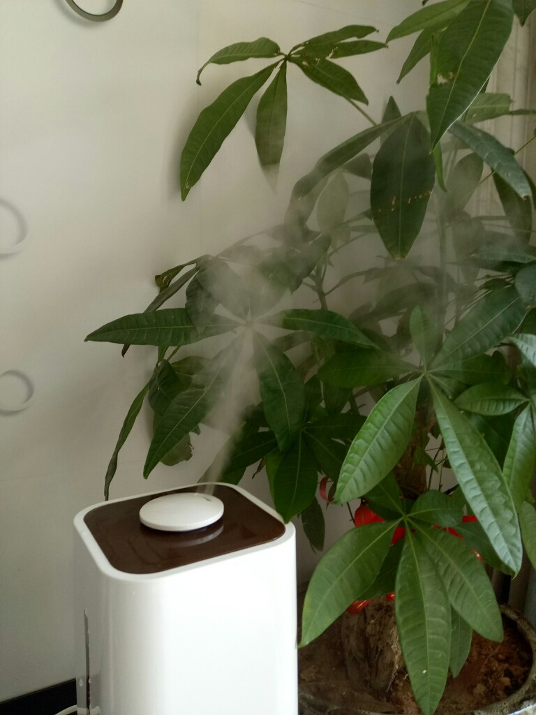 美菱空气加湿器怎么样，它的价格贵不贵_搜券