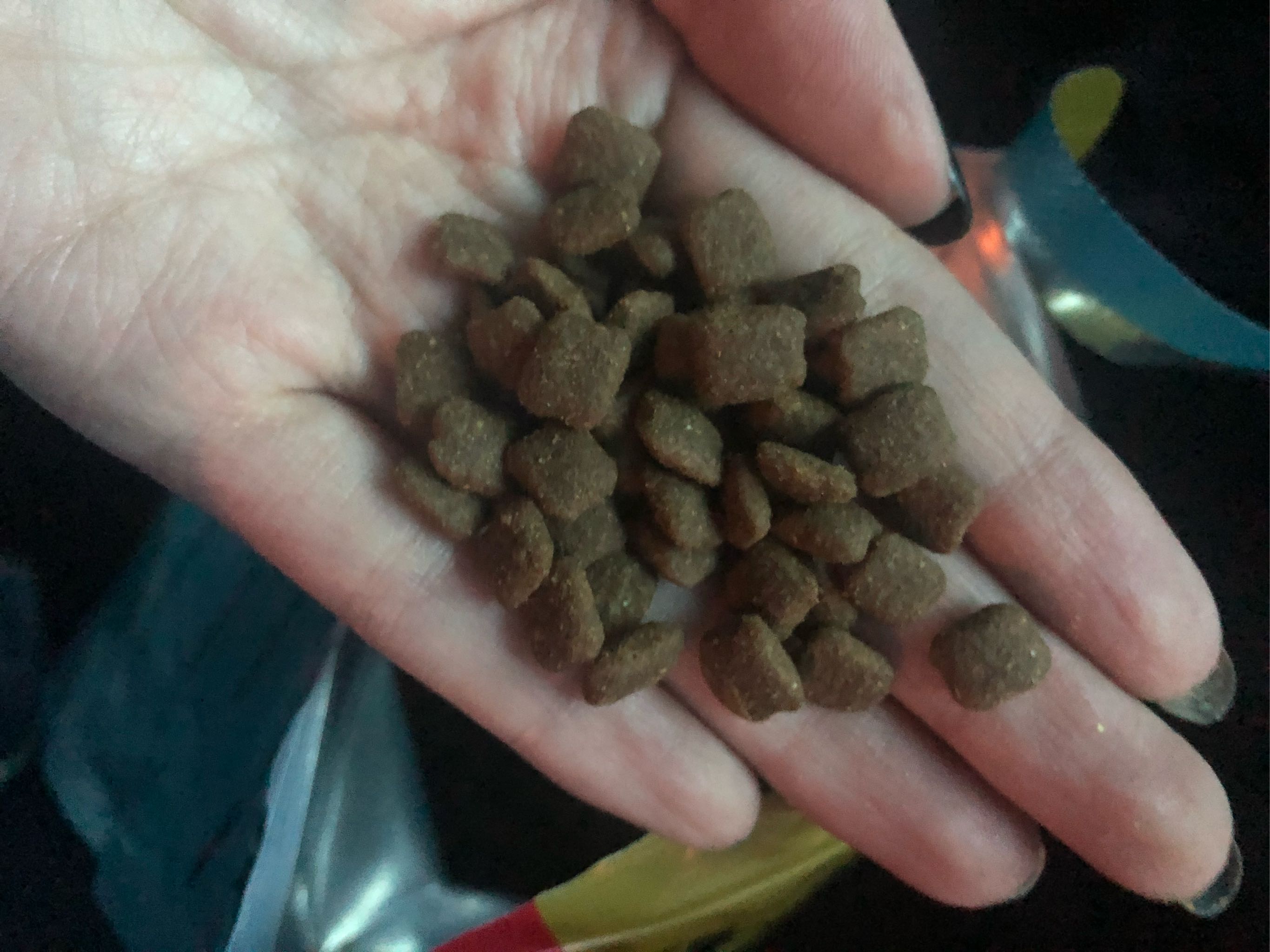 我家狗狗不吃狗粮换了这款海尔仕竟然超级喜欢吃_宝贝狗 我家狗狗不吃狗粮换了这款海尔仕竟然超级喜欢吃
