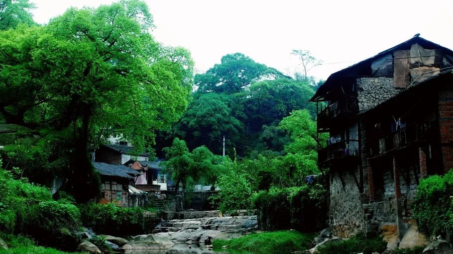 地址:重庆市渝北区龙兴镇.