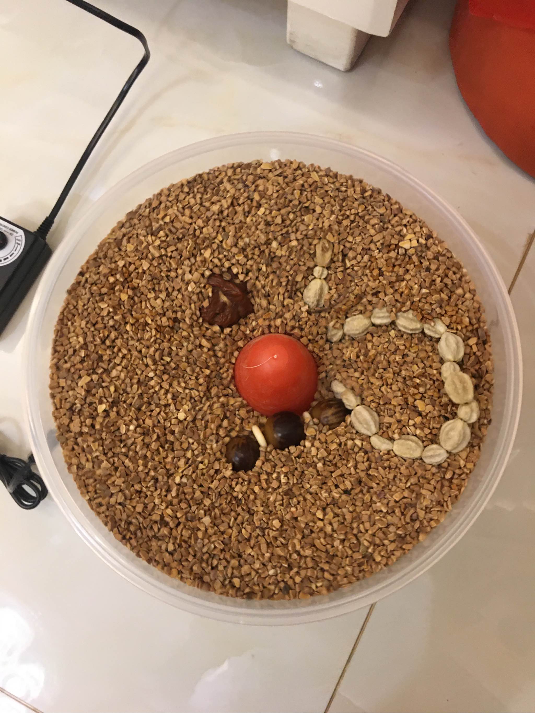 文玩抛光机怎么样,好用吗?使用感受分享,第7张 文玩抛光机怎么样,好用吗?使用感受分享,第7张