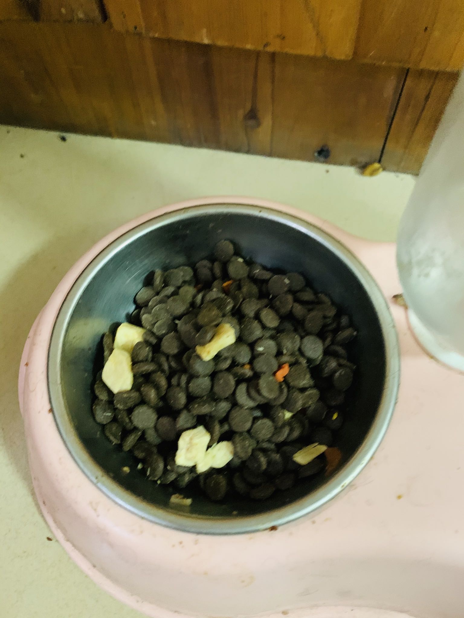 富粒滋冻干狗粮好不好用,价格是多少钱呢,第5张 富粒滋冻干狗粮好不好用,价格是多少钱呢,第5张