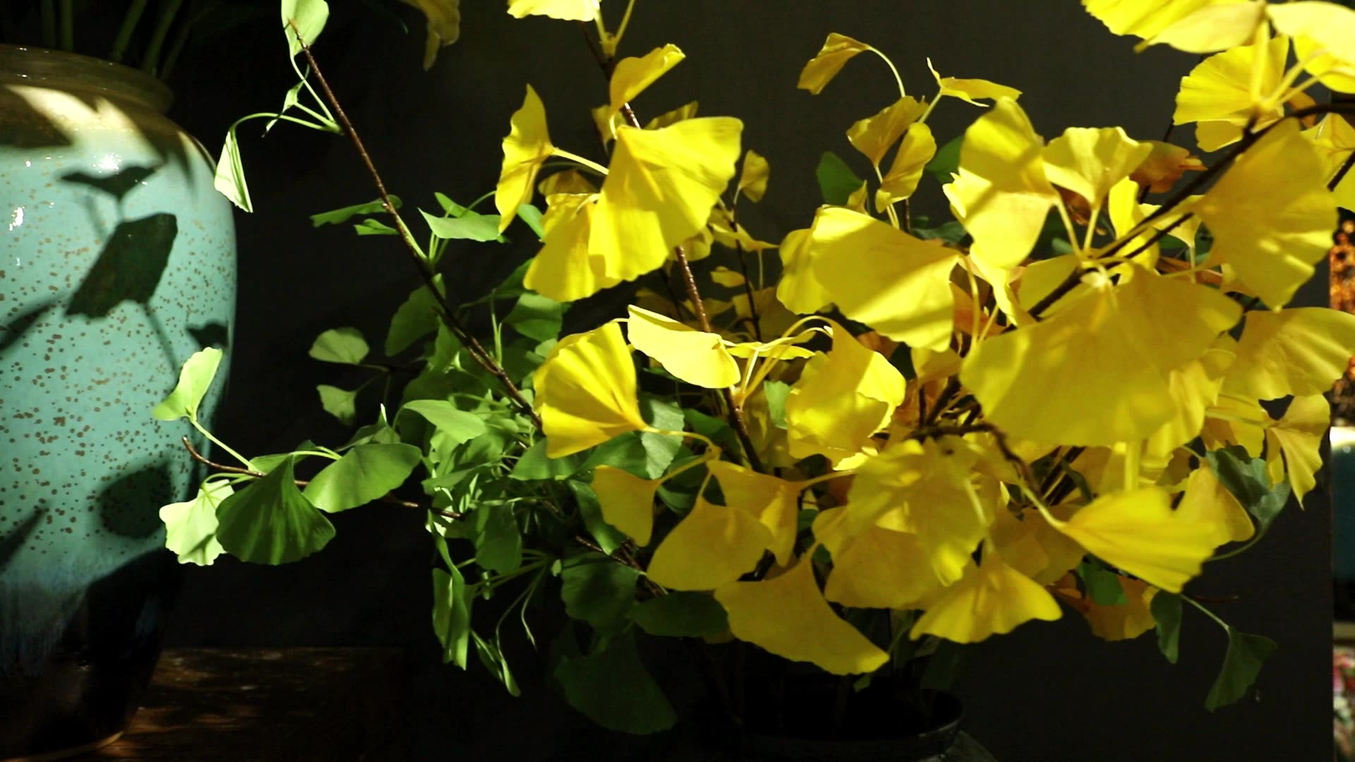 兰桂坊仿真植物桉树叶绿植弯尤加利叶婚庆家居装饰假树叶厂家批发