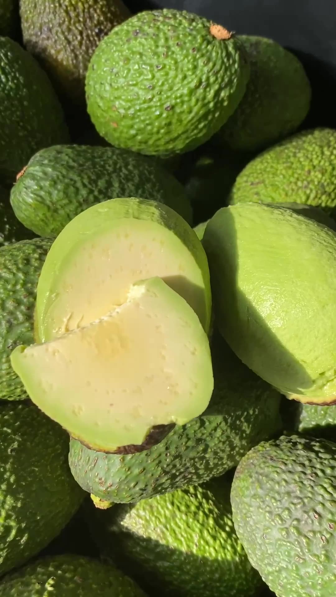 进口秘鲁牛油果 代发2/8枚新鲜水果当季香甜软糯鳄梨非哈斯牛油果