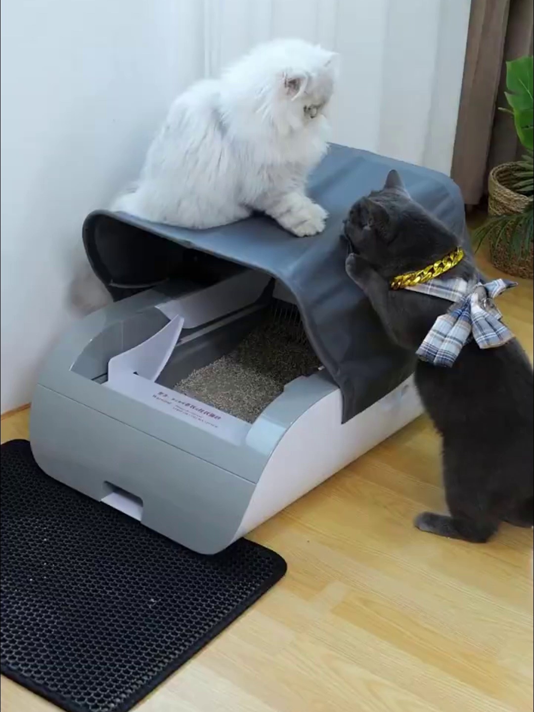 养猫人狂喜。这款智可以猫砂盆太懂我了✨