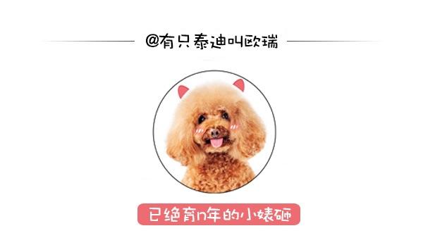 趣值买