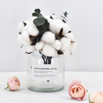 Living room Nordic Net red hydroponic glass vase transparent cotton dried flower small Vase ornaments indoor glass vase