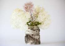 Birch log flowerpot creative ornaments solid wood flowerpot landscape fleshy pot flower arrangement container mini home decoration