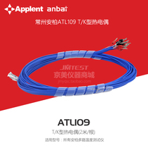 Changzhou Amber accessories ATL109T type K thermocouple 2m can be used with Amber multi-channel temperature tester