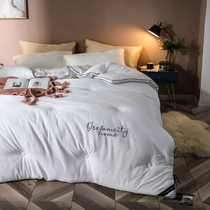 Good dreams of the modal quilt velvet Winter thickened warm quilt spring and autumn quilt single double quilt