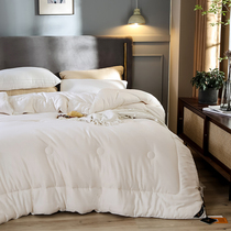 Good dreams of soybean fiber quilt antibacterial quilt core thickening warm winter quilt single double spring and autumn quilt Four Seasons Universal
