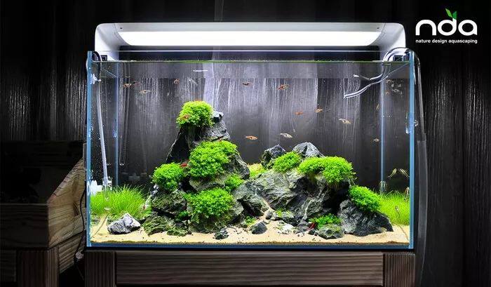 家里就该有这样的石景缸