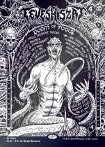 (Star Card) Magic: The Gathering SLD Secret Lair English Flash The Fools Doom Tavis Chatter