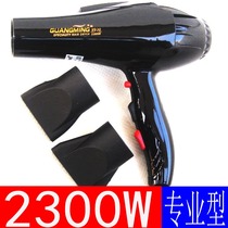Light RCT-9930 Cold hot wind Professional 2300W High power electric hair dryer AC Motor